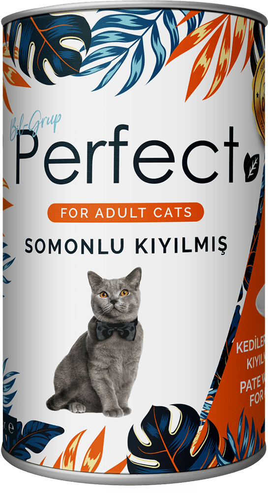 Pate With Salmon For Adult Cats
