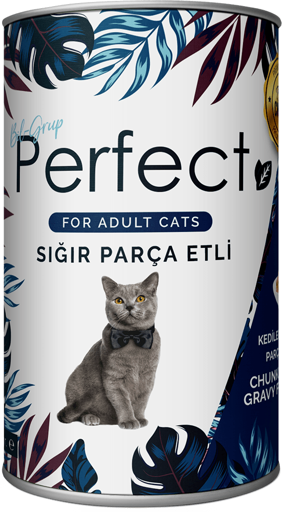 Chunk With Beef In Gravy For Adult Cats