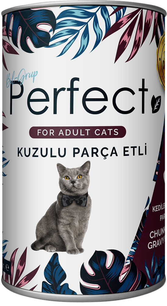 Chunk With Lamb In Gravy For Adult Cats