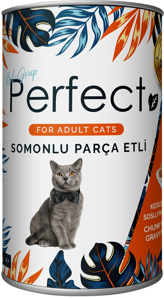 Chunk With Salmon In Gravy For Adult Cats