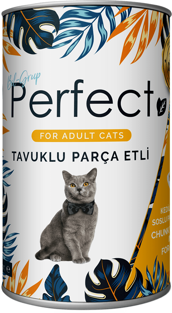 Chunk With Chicken In Gravy For Adult Cats