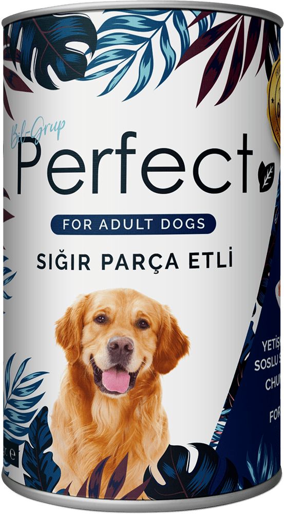 Chunk With Beef In Gravy For Adult Dogs