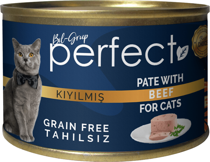 Pate With Beef For Cats